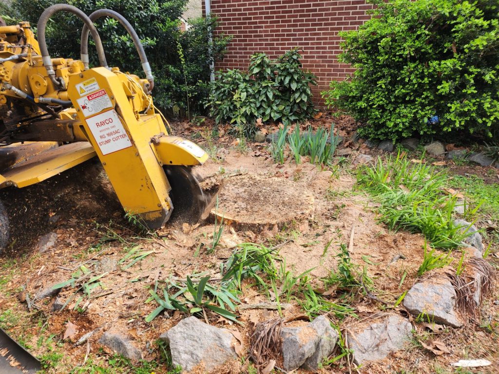 Stump grinder in action.